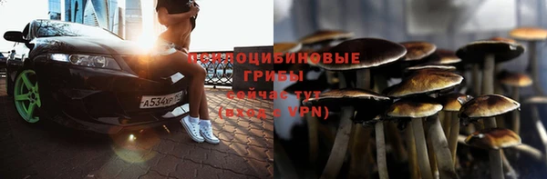 а пвп мука Няндома
