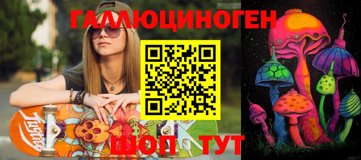 Псилоцибиновые грибы Psilocybe  Кузнецк  Галлюциногенные грибы MAGIC MUSHROOMS 