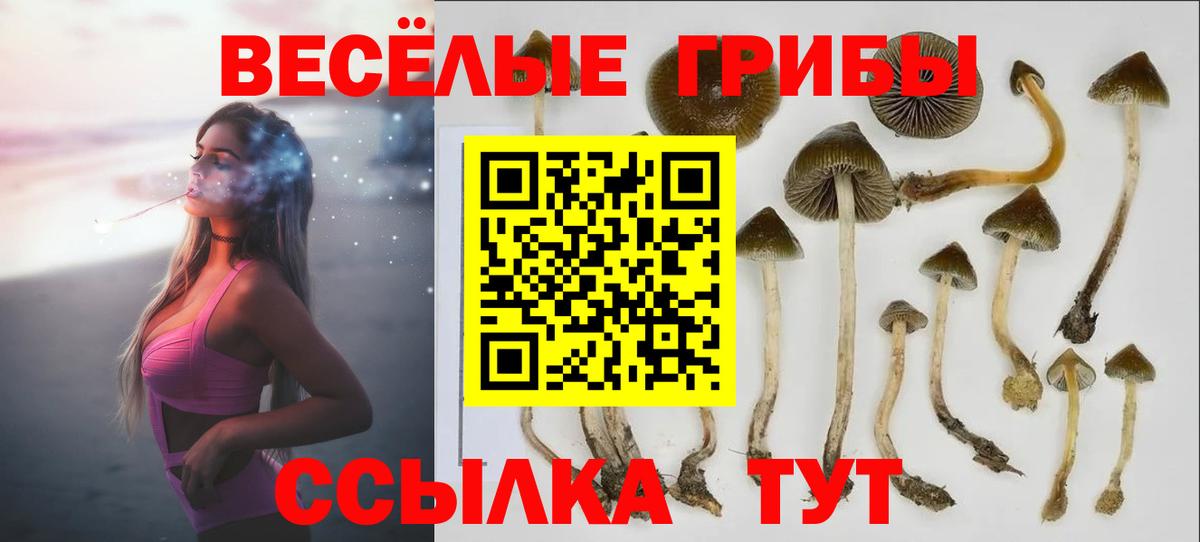 Кузнецк  Галлюциногенные грибы GOLDEN TEACHER  Вход с VPN 